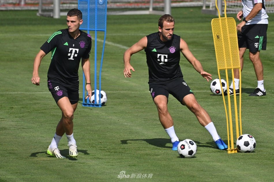 有国际经验 有国际经验